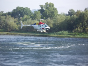 Helicòpter fent tasques de tractament sobre el riu