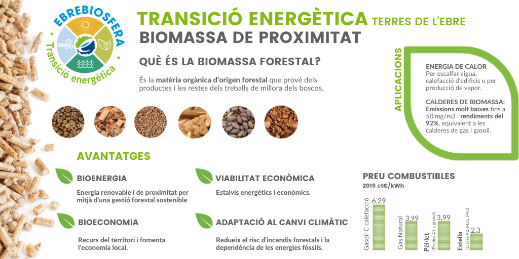 Biomassa PECT