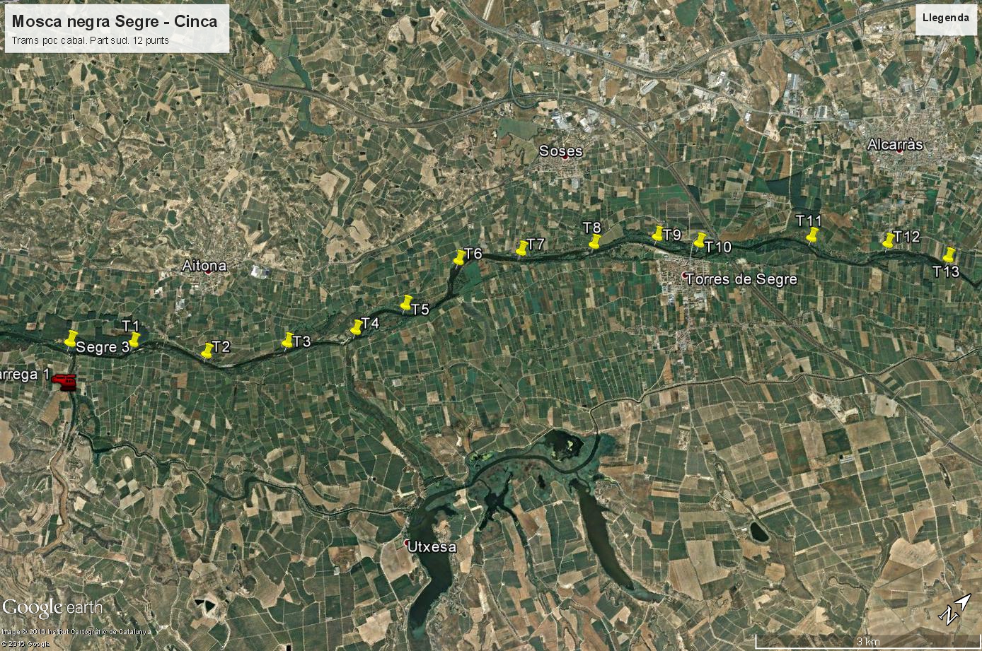 Tractament 12 punts sud