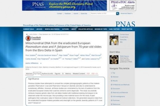 Imatge de l'article online al lloc web del PNAS