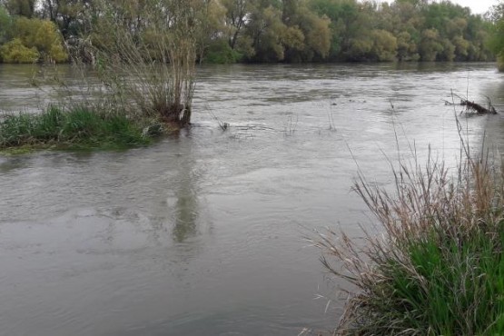 Imatge del riu