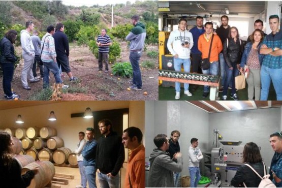 Imatges dels alumnes del curs en diferents empreses