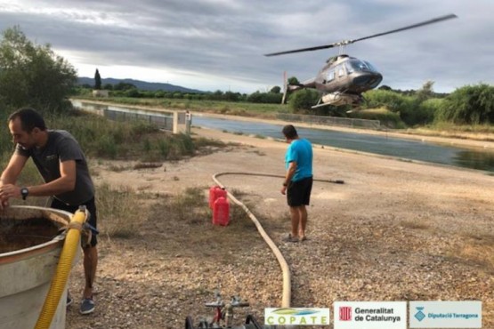 Operaris realitzant tasques de salubritat