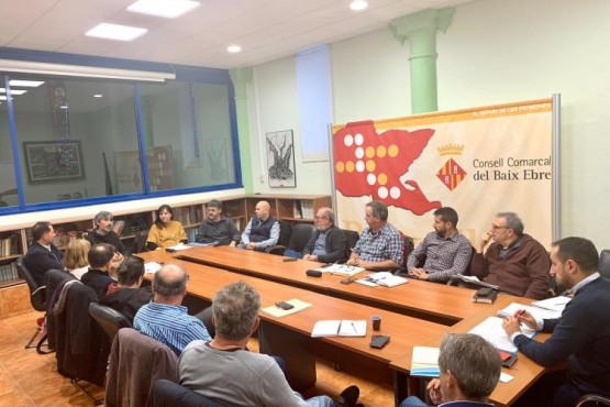 Imatge dels assistents a la Junta en ple diàleg