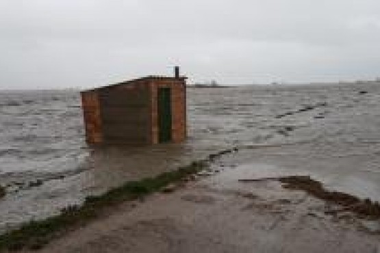 Imatge d'una barraca envoltada d'aigua com a conseqüencia del temporal Gloria