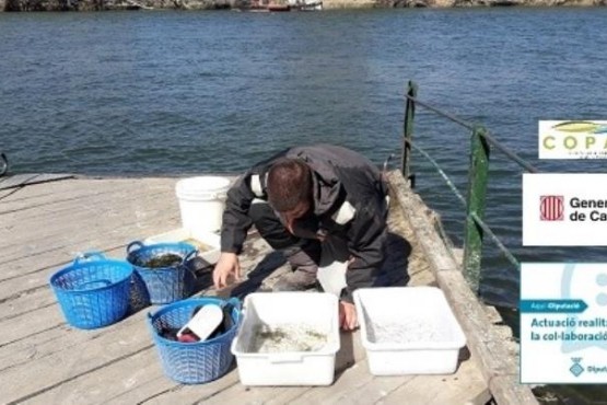 Operari realitzant tasques de salubritat