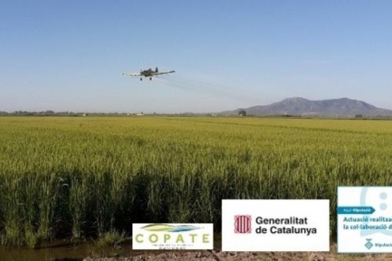 Avioneta realitzant tasques de salubritat