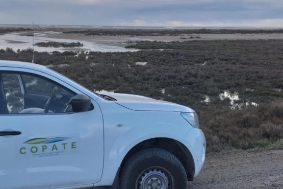 Imatge d'un dels vehicles del COPATE al delta