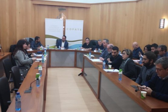 Imatge de la reunió de la Junta general del COPATE