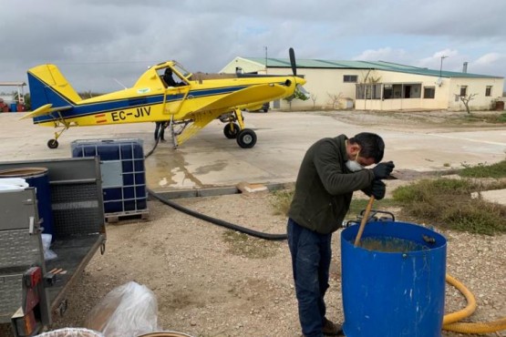 Tècnic del COPATE amb mascareta realitzant tasques de salubritat