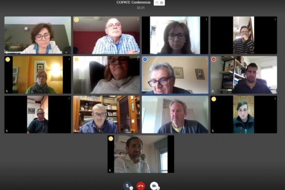 Membres del COPATE reunits telemàticament