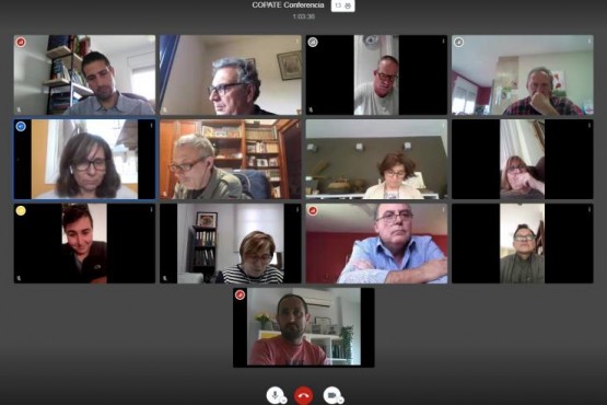 Membres del COPATE en reunió telemàtica