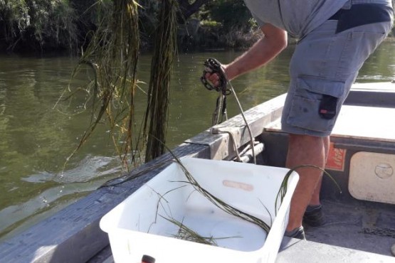 Operari realitzant feines de salubritat