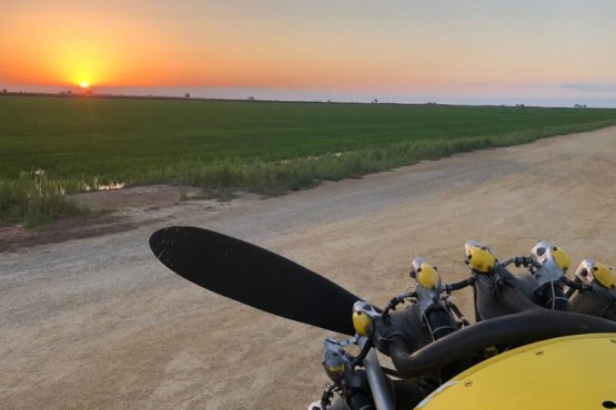 Imatge d'una de les avionetes que s'utiliza pels tractaments de salubritat