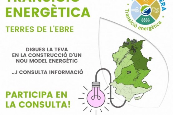 Fullet de la consulta