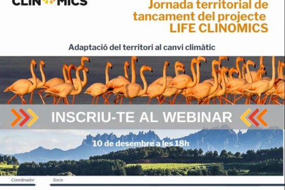 Fullet del webinar