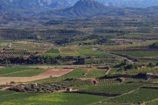 Paisatge de les Terres de l'Ebre