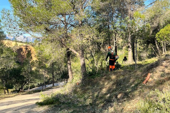 Acció Forestal Tivenys 2025