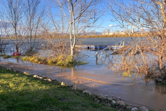 Detall de la crescuda del riu Ebre al seu pas per Amposta