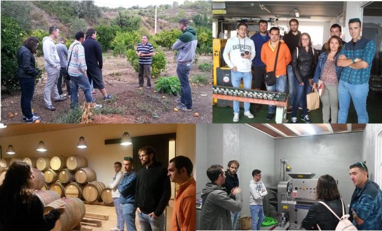 Imatges dels alumnes del curs en diferents empreses