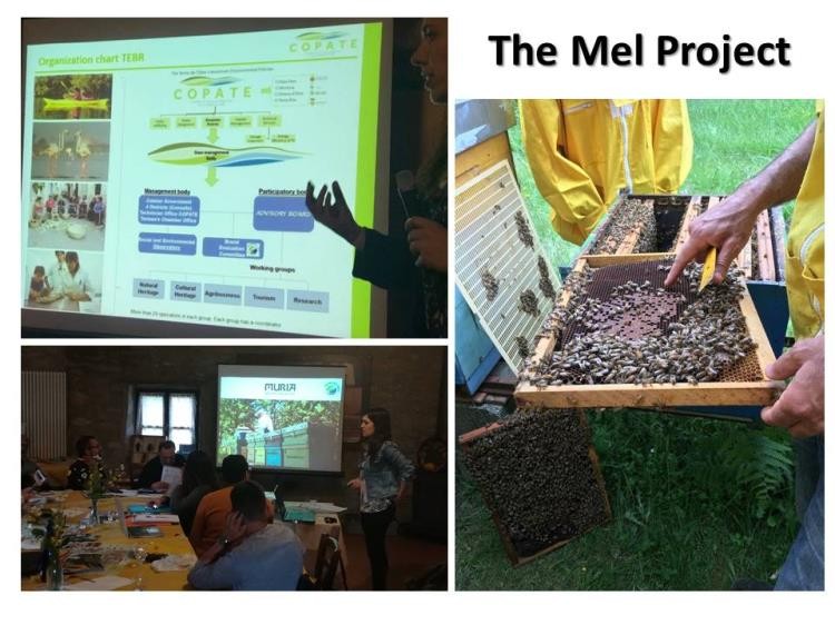 Imatges del projecte "MEL project"