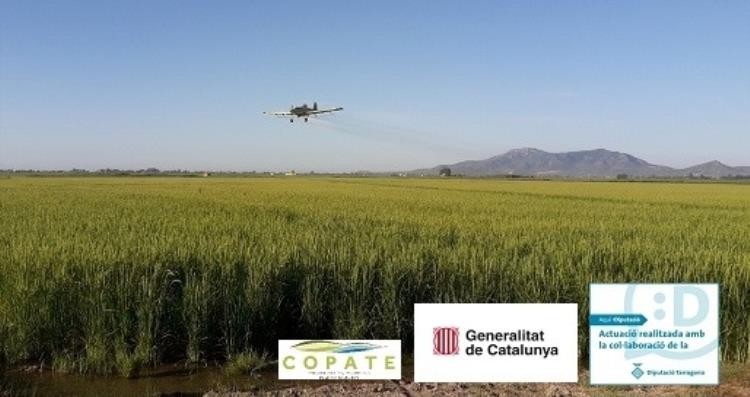 Avioneta realitzant tasques de salubritat