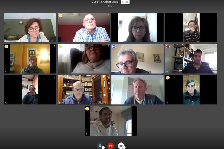 Membres del COPATE reunits telemàticament