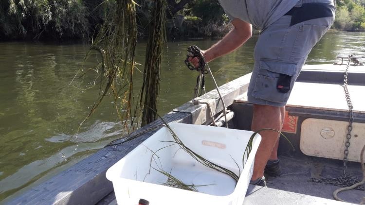 Operari realitzant feines de salubritat