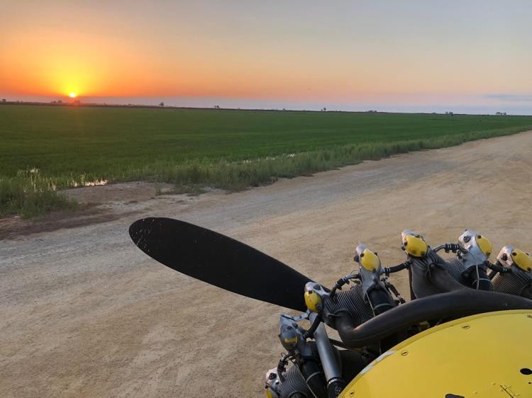 Imatge d'una de les avionetes que s'utiliza pels tractaments de salubritat