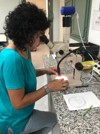 Tècnica del copate observant a través del microscopi