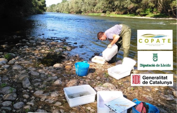 Operari realizant un dels tractaments