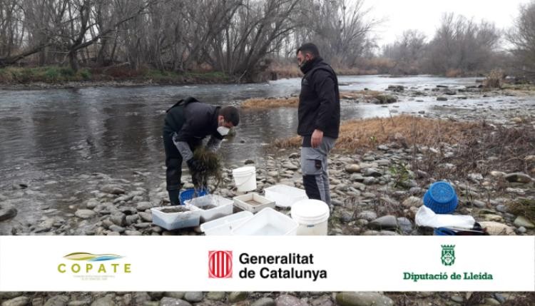 Tècnics del COPATE en plena feina a la vora del riu
