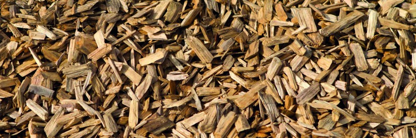biomassa estella